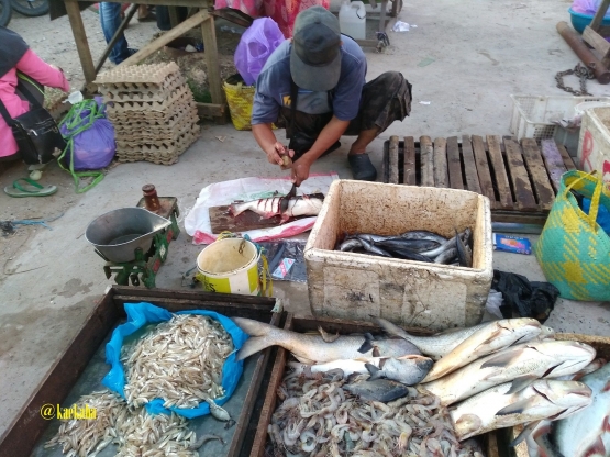 Salah Satu Pedagang Ikan Air Tawar | @kaekaha