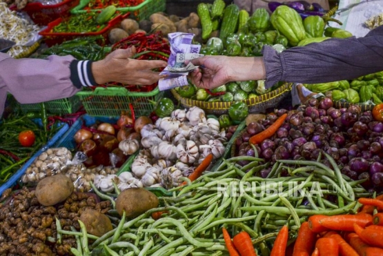https://www.republika.co.id/berita/qulvb8383/wacana-ppn-sembako-ancam-stabilitas-nasional