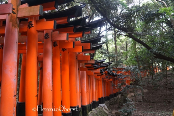 1000 Torii Fushimi Inari | foto: HennieTriana