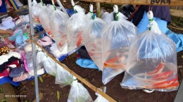 Ikan hias yang disimpan dalam plastik ukuran kecil ini turut dijual di area Taman Kota Pemkot Cimahi (Sumber: J.Haryadi)