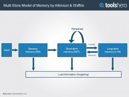 Memory Structure Atkinson & Shiffrin. (Source : pinterest.com/toolshero)