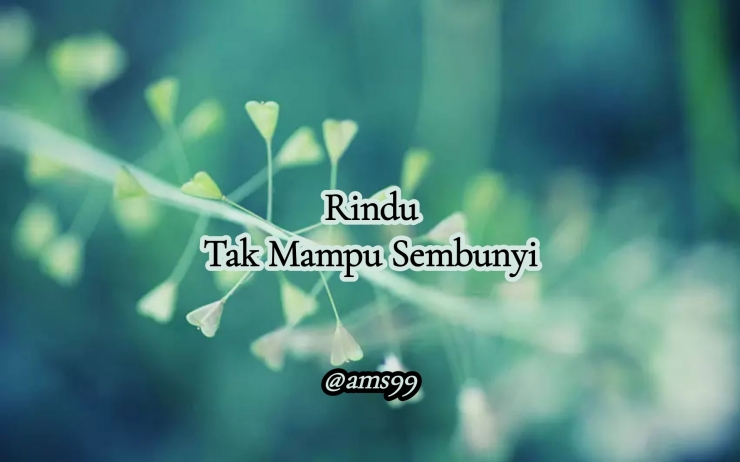 Puisi Rindu tak Mampu Sembunyi (Dokpri @ams99_By.Text On Photo) 