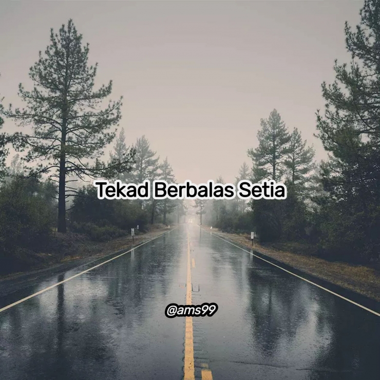 Puisi Tekad Berbalas Setia (Dokpri @ams99_By. Text On Photo)