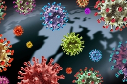 Ilustrasi virus Corona | dok. Shutterstock via kompas.com