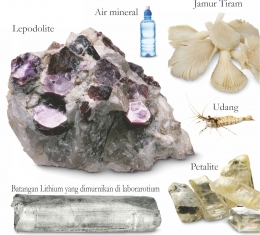 Senyawa Lithium di alam, diadaptasi dari buku: Periodic Table Book - A Visual Encyclopedia, hlm. 24.