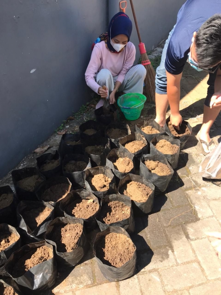 Mahasiswa UMM Lakukan Penanaman Tanaman Toga di Desa Oro Mahasiswa UMM Lakukan Penanaman Tanaman Toga di Desa Oro