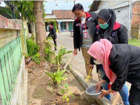 penyiraman pohon tabebuya setelah ditanam (Dokpri)