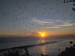 Sunset di Tanah Lot, Bali/Dokpri