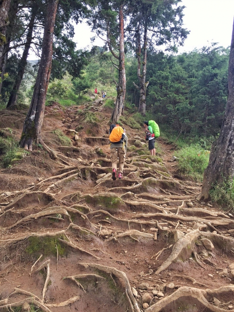 https://www.mesraberkelana.com/2018/04/melihat-dieng-dari-gunung-prau.html