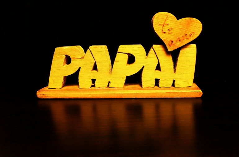 Hadiah Hari Ayah Sedunia untuk Ayah tercinta yang mudah didapat dan inspiratif (Adriano Gadini/Pixabay)