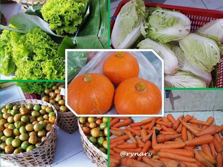 Aneka sayuran segar dari Tarubatang | dokpri Rynari
