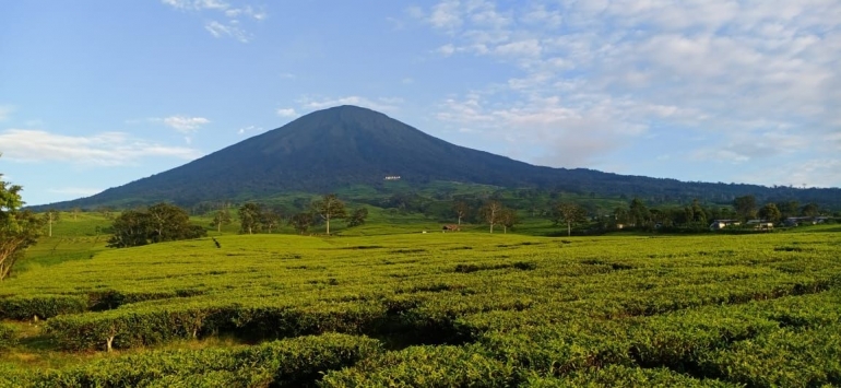 "Pemandangan Kebun Teh Dan Gunung Dempo Pagar Alam (Dokumen Pribadi)