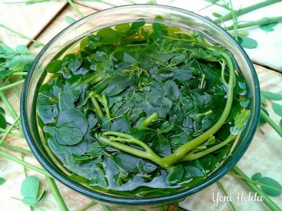 Sayur daun kelor (foto dari yenihelda.com)