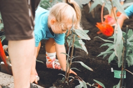 Kiat tingkatkan minat anak makan sayur dengan menanam tiga sayuran bergizi | Photo by Anna Earl on Unsplash