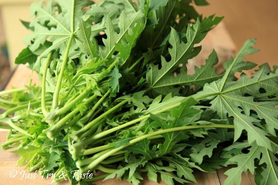 Tumis Daun Pepaya: Lebih dari Sekadar Hidangan Pahit, Kaya Manfaat dan Kelezatan Tersembunyi