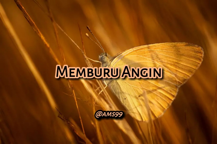 Puisi Memburu Angin (Dokpri @ams99_By. Text On Photo)