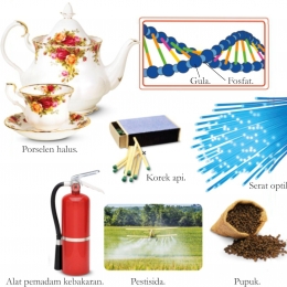 Fosfor Pembentuk 1% Tubuh Manusia Halaman 2 - Kompasiana.com