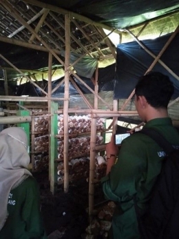 Gambar 2. Tim Mahasiswa KKN sedang mengunjungi salah satu rumah UMKM budidaya jamur.