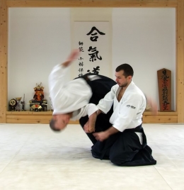 Ilustrasi latihan bela diri Aikido. Sumber gambar: Magyar Balázs 