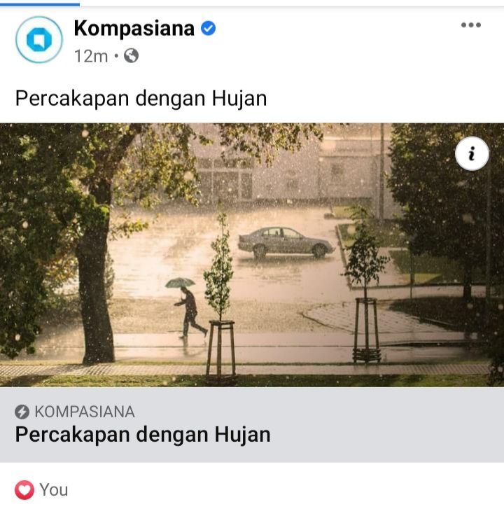 Percakapan dengan Hujan (dokpri)