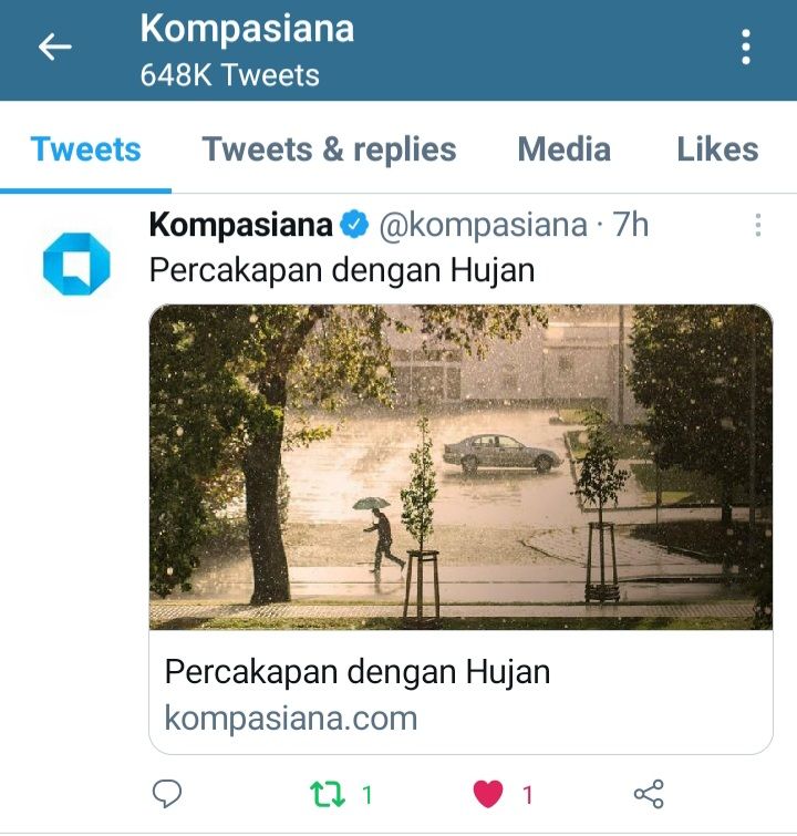 Percakapan dengan Hujan (dokpri)