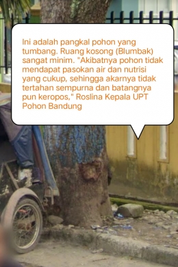 Kondisi Blumbak Pohon di depan RSUP Adam Malik Medan, yang tumbang Senin (28/6/2021) kemarin (Screenshot Google Maps)