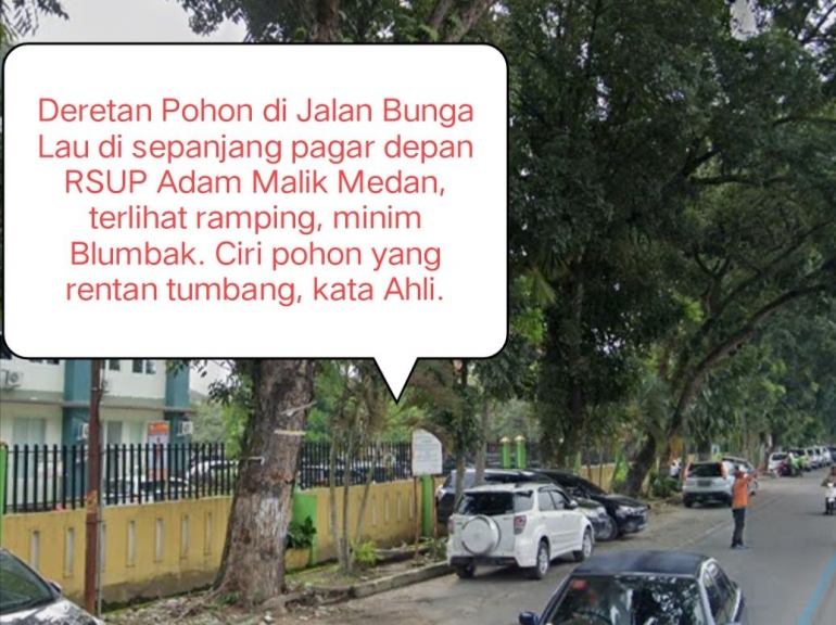 Deretan pohon di depan RSUP Adam Malik Medan (Screenshot Google Maps)