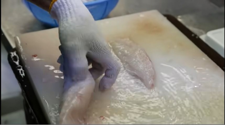 Teknik khusus untuk mengolah ikan buntal di Jepang (Thirsty travel Youtube)
