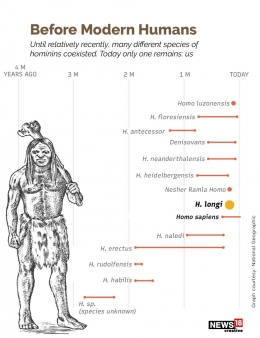 Rentang waktu evolusi manusia dan posisi Manusia Naga (Homo longi). Sumber:news18.com 