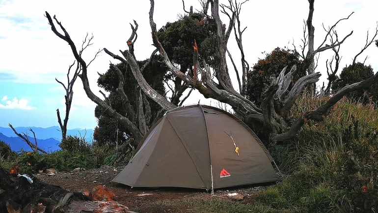 Satu-satunya tenda di puncak hutan mati (Dokpri)