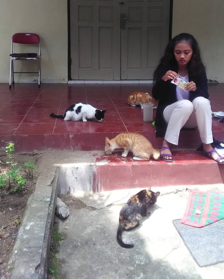 (Sumber Foto : Instagram ibu_cats, Anestri sedang memberi makan kucing terlantar di depan halaman rumahnya)
