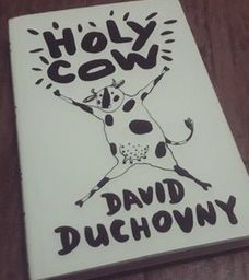 Buku karangan David Duchovny (dokpri)