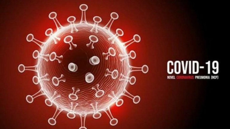virus corona penyebab Covid-19 (sumber: yogya.inews.id)