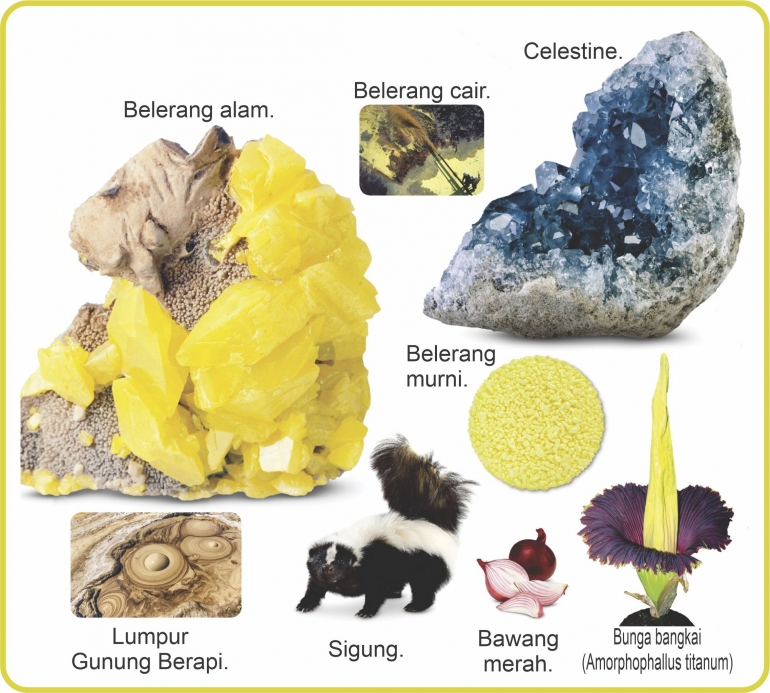 Berbagai unsur dan senyawa belerang. Sumber: buku Periodic Table Book - A Visual Encyclopedia, hlm. 168.