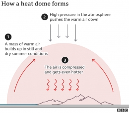 Fenomena Heat Dome membuat bumi makin panas. Sumber: BBC