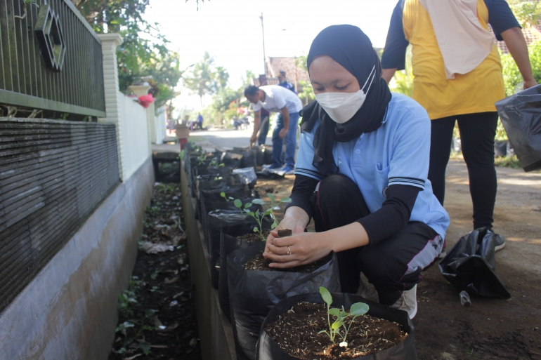 Mahasiswa KKN UM membantu warga menanam bibit sayuran / dokpri