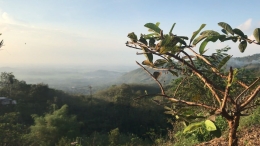 Foto pemandangan dari Puncak Sumawe