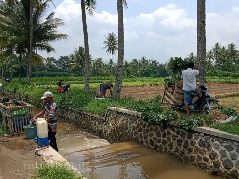 Di parit yang sama, mencuci sayur dan mencampur pestisida. Dokpri