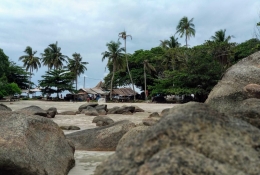 Ilustrasi pohon kelapa sebagai ciri khas pantai-pantai di nusantara. (Dokumentasi pribadi) 