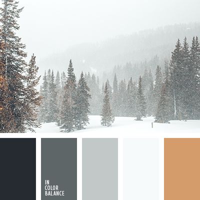Ilustrasi warna netral (colorpalettes.net) 