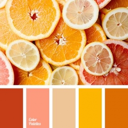 Ilustrasi warna hangat (colorpalettes.net) 