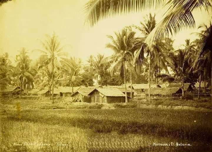 Kampung Kedung yang dibakar Kolonial. KITVL