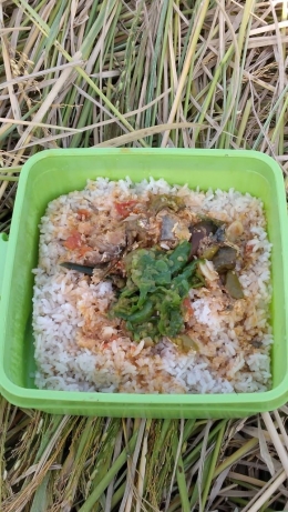 Menu makan siang saat panen padi di sawah (Dokumentasi Pribadi)