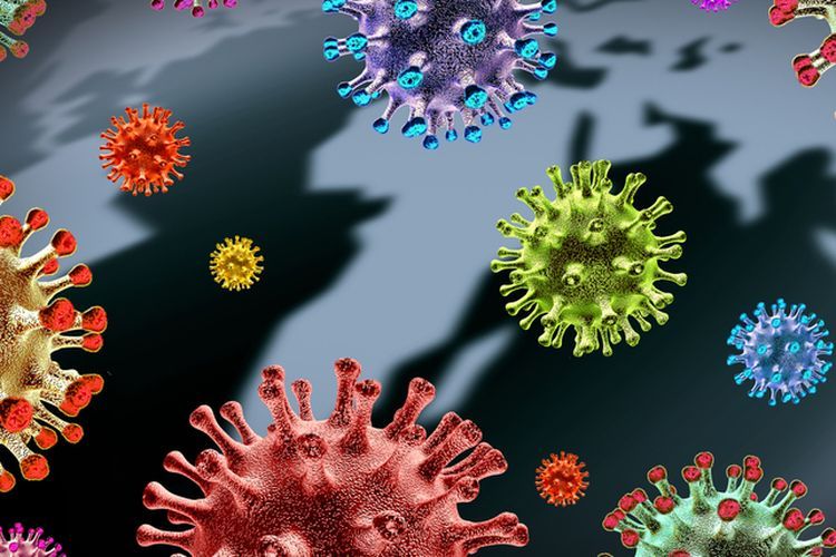 Ilustrasi varian virus corona (Foto: SHUTTERSTOCK/Lightspring via kompas.com)