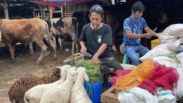 Pedagang hewan qurban di tanah Abang (foto: detik.com)