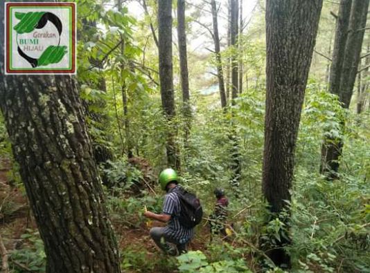 Menjelaja hutan memcari lokasi yg akan dilakukan Pembibitan dan penanaman Pohon Buah Untuk Satwa