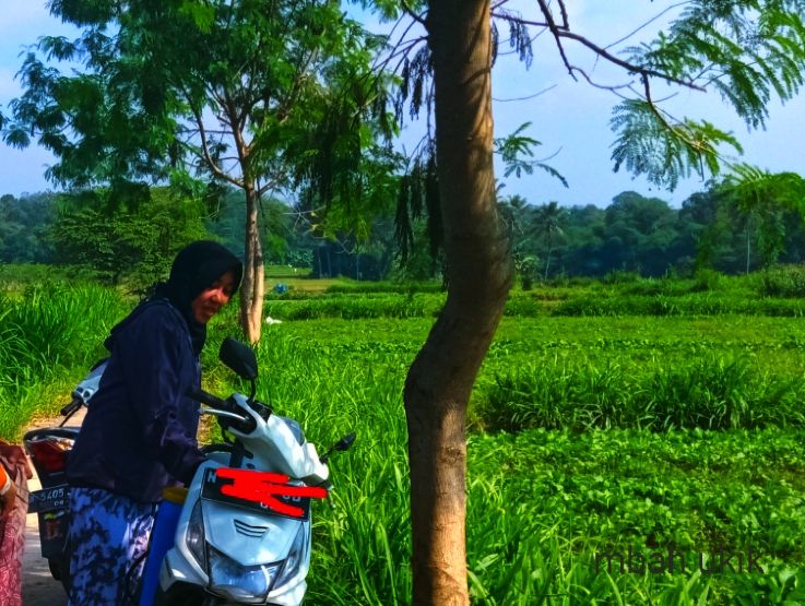 Siap pulang. Dokumen pribadi.