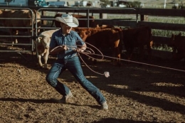 https://unsplash.com/s/photos/cowboy