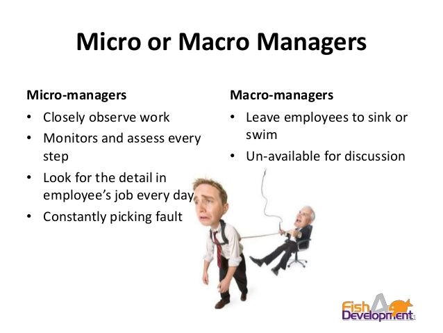 advantages and disadvantages of micro and macro management