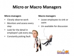Macro vs Micro Manager. Sumber: www.strategic-change-consultants.com